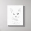Search for unique pet memorials Cat