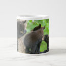 Search for young mugs Bear cub