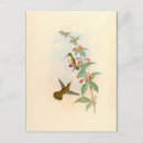 Search for wildlife art postcards Tropical