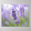 Search for image macro Outdoors