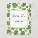 Search for palm leaves save the dates Summer
