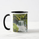 Search for forest waterfall mugs Motion
