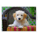 Search for dog postage Cute