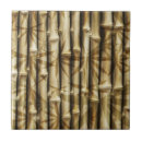 Search for bamboo leaf Tree