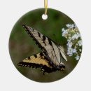 Search for yellow butterflies christmas tree decorations Nature