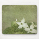 Search for dogwood electronics Blossom