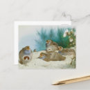 Search for thistle postcards Watercolor