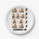 Search for groundhog day Adorable