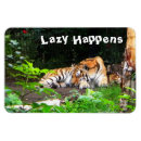 Search for lazy magnets Funny