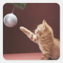 Search for kitten christmas stickers Tabby