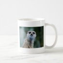 Search for meerkats mugs Zoo