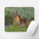 Search for baby deer electronics Young animal