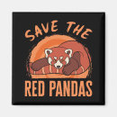 Search for pandas magnets Protect