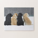 Search for black labrador puppy puzzles Cute