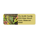 Search for parakeet return address labels Bird