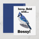 Search for bird lover birthday cards Blue jay