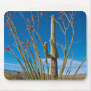 Search for saguaro mousepads Bloom