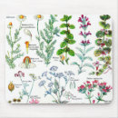 Search for produced mousepads Farm