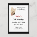 Search for yorkie birthday invitations Cute