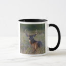 Search for white tail deer buck mugs Texas