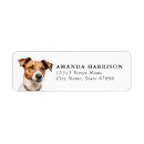 Search for jack russell terrier return address labels Dog