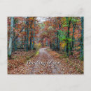 Search for fall road postcards Trees