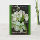 Search for condolances cards Black
