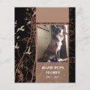 Search for announcing death of dog Memorial