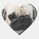 Search for funny pug stickers Kawaii