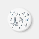 Search for swallows magnets Hirundo rustica