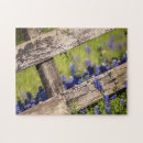 Search for texas bluebonnet Floral