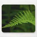 Search for ferns mousepads Nature