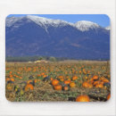 Search for pumpkin patch mousepads Farm