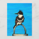 Search for belted postcards Kingfisher