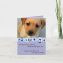 Search for yellow labrador birthday cards Photography