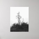 Search for lone tree Black and white