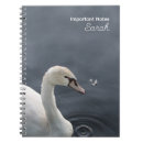Search for muted photography Mute swan