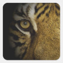 Search for tiger eye stickers Feline