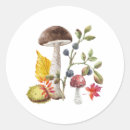 Search for wild mushroom stickers Nature