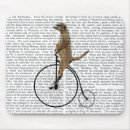 Search for meerkat gifts Antique