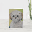 Search for bichon cards Frise