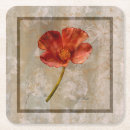 Search for poppies coasters Orange