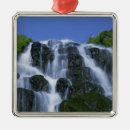 Search for daytime christmas tree decorations Paul thompson