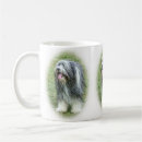 Search for shaggy mugs Animal