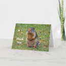 Search for prairie dog cards Rodent