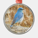 Search for bluebird decor Songbird