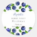 Search for cute blueberry stickers Watercolor