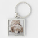 Search for cockers key rings Animal