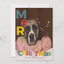 Search for colorful christmas invitations Winter