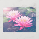 Search for buddhist postcards Nature
